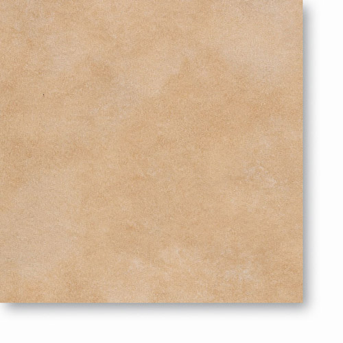 beech-drt207-dye0606201-dpt