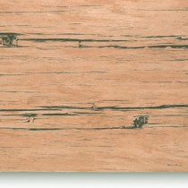 Rustic Range
