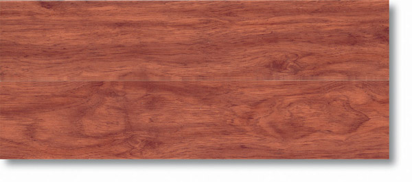 rose-spotted-gum-drp112-dye0704231-dpt