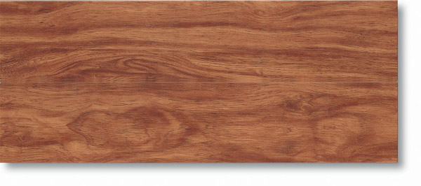 sweet-spotted-gum-drp111-dye0704231-dpt