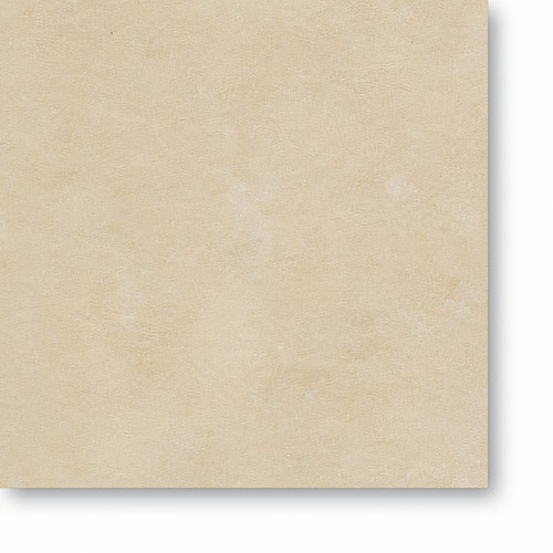 tan-drt206-dye0607181-dpt
